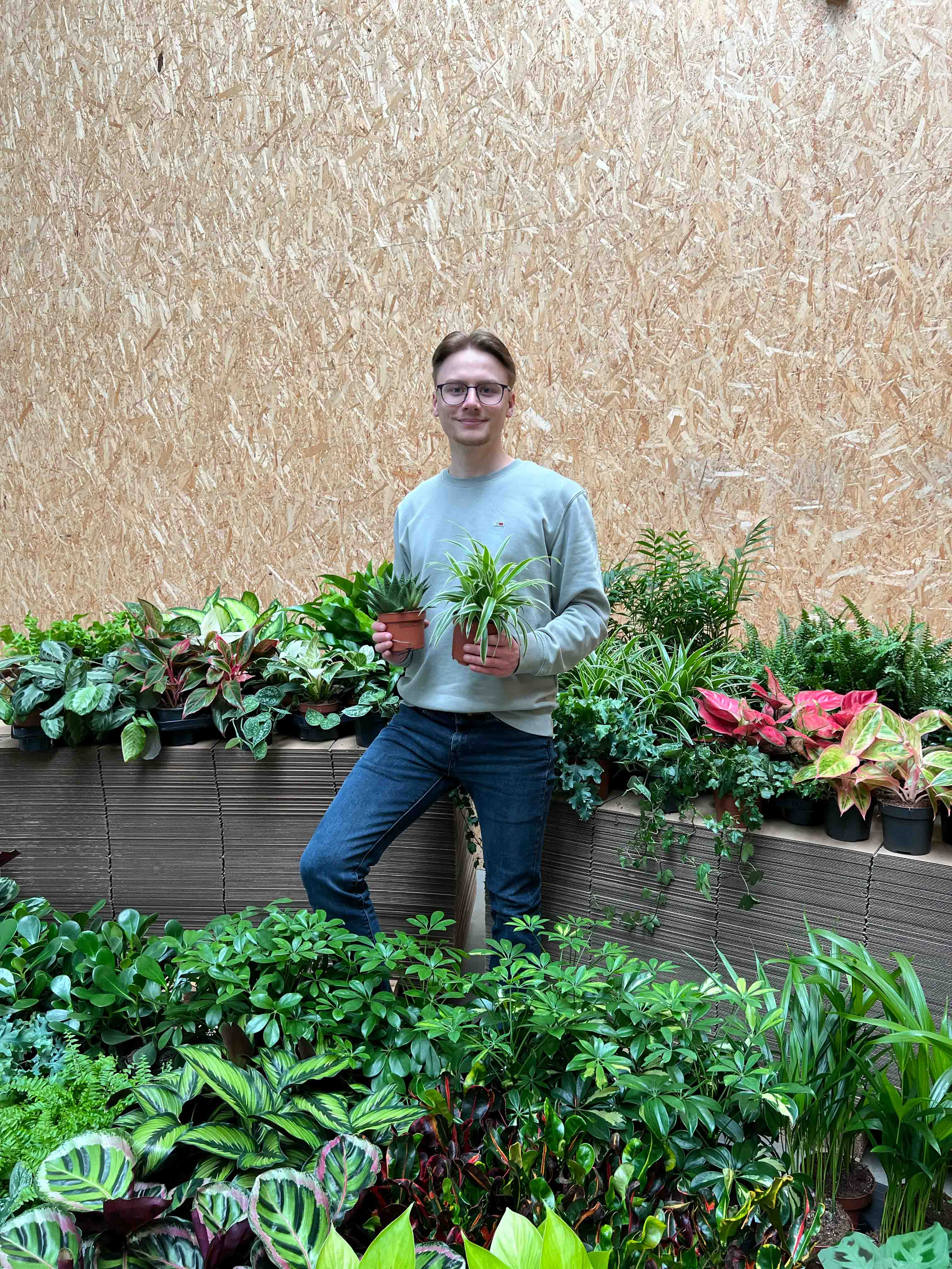 Groene jungle 1 PlantenShop24