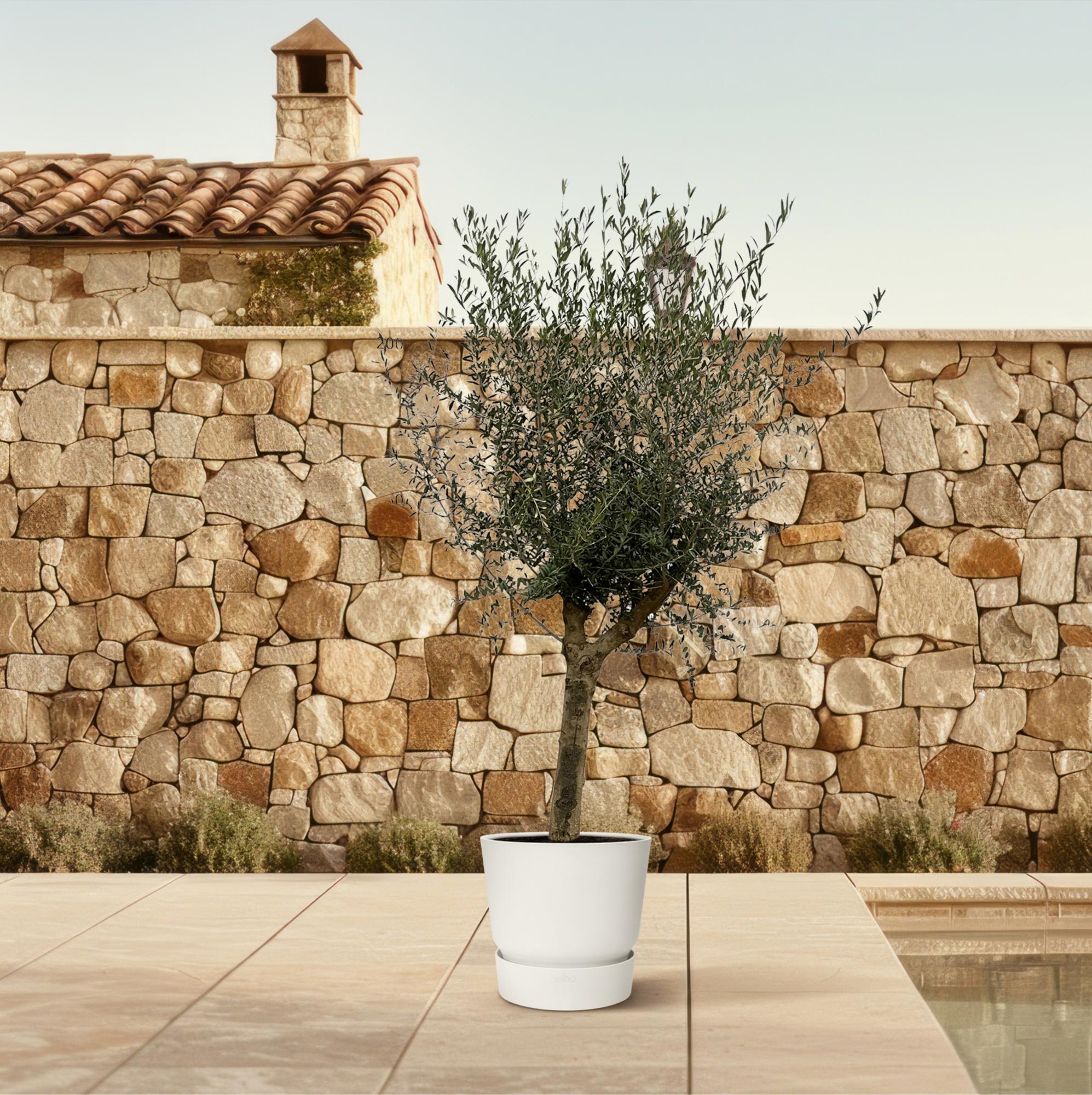 Olea Lorc Ø 45 H 200 cm 3