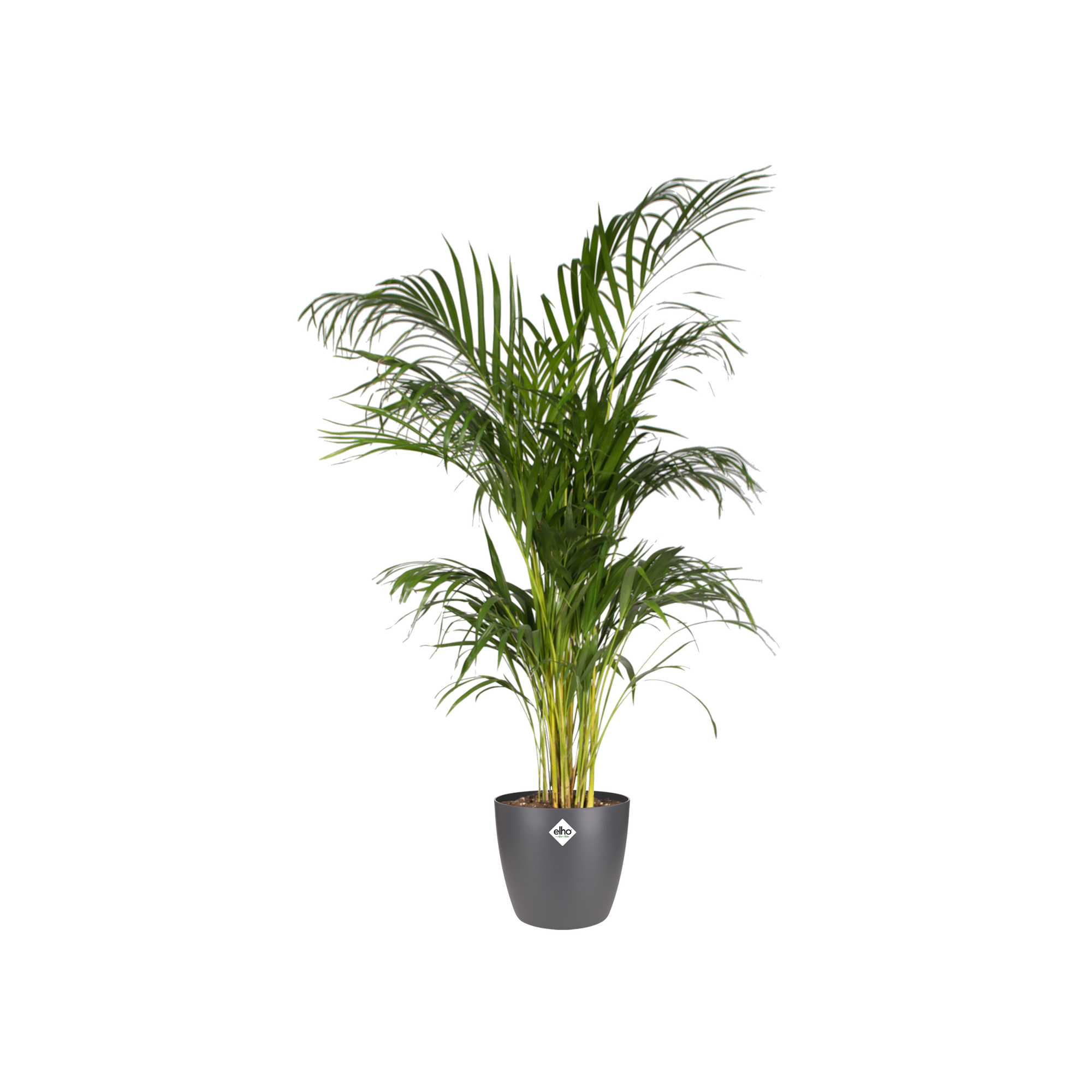 Pot Elho Brussels Round Antraciet Ø 20 H 19 cm 3