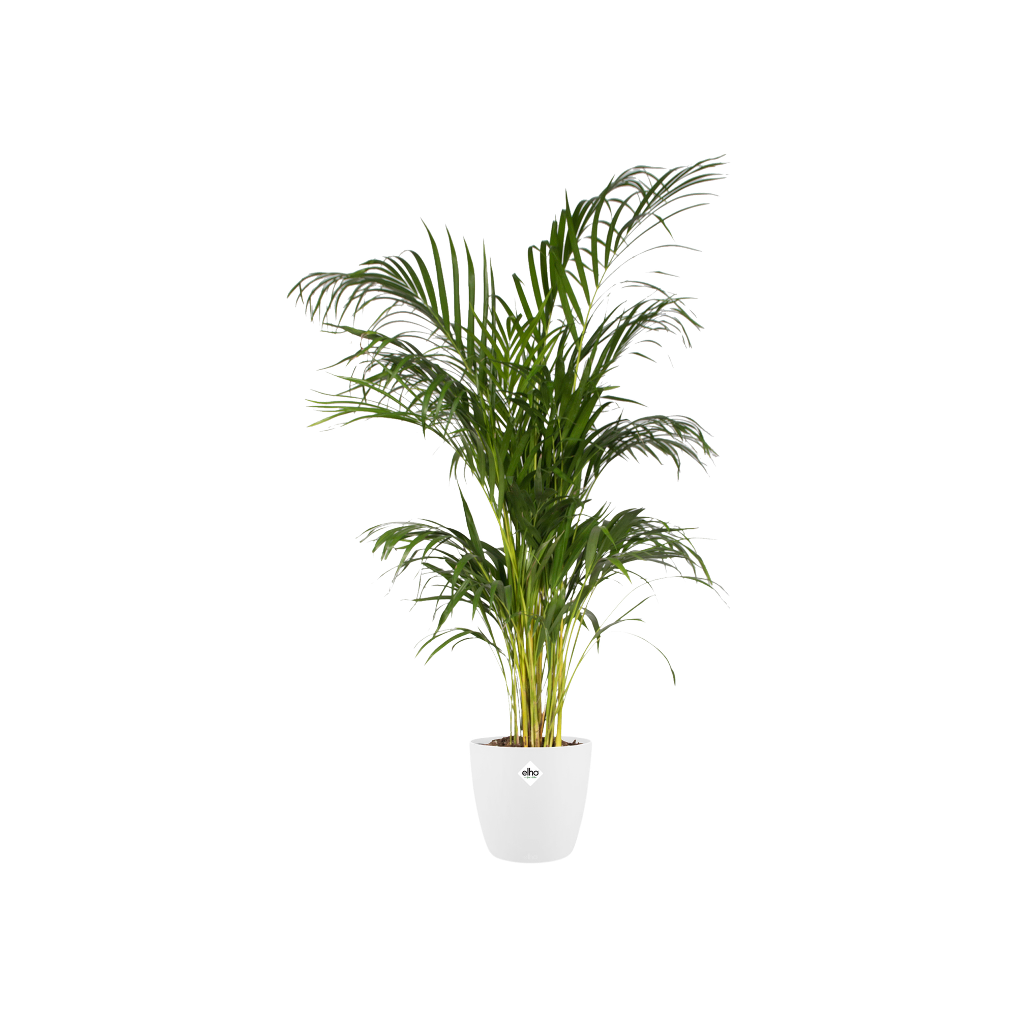 Pot Elho Brussels Round Wit Ø 30 H 27 cm 3