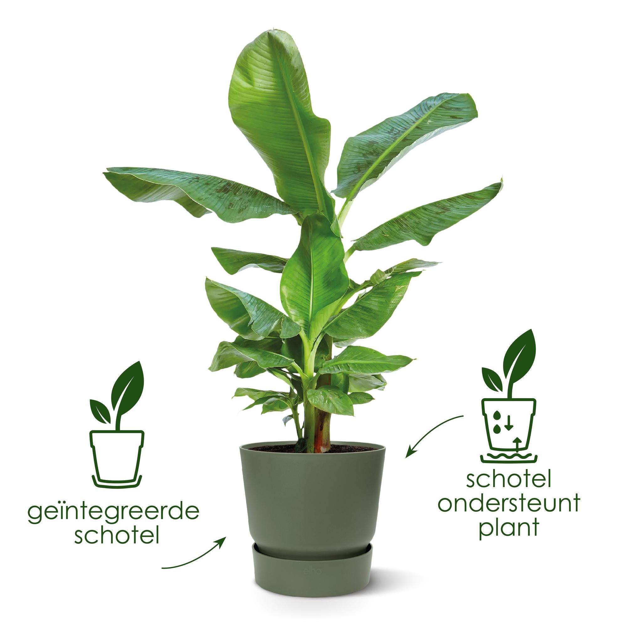 Pot Elho Greenville Round Grijs Ø 39 H 37 cm 4