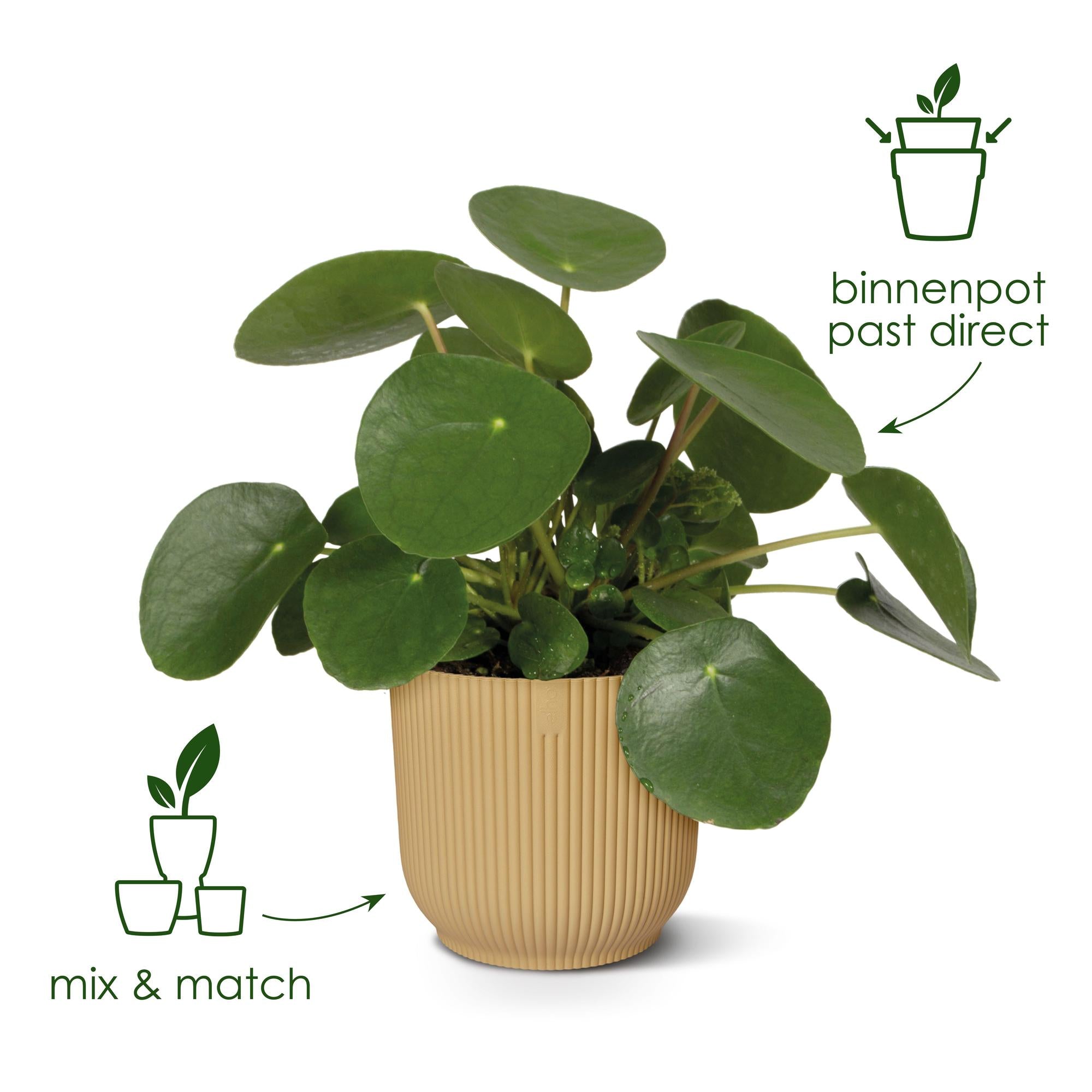 Pot Elho Vibes Fold Round Geel Ø 14 H 13 cm 5