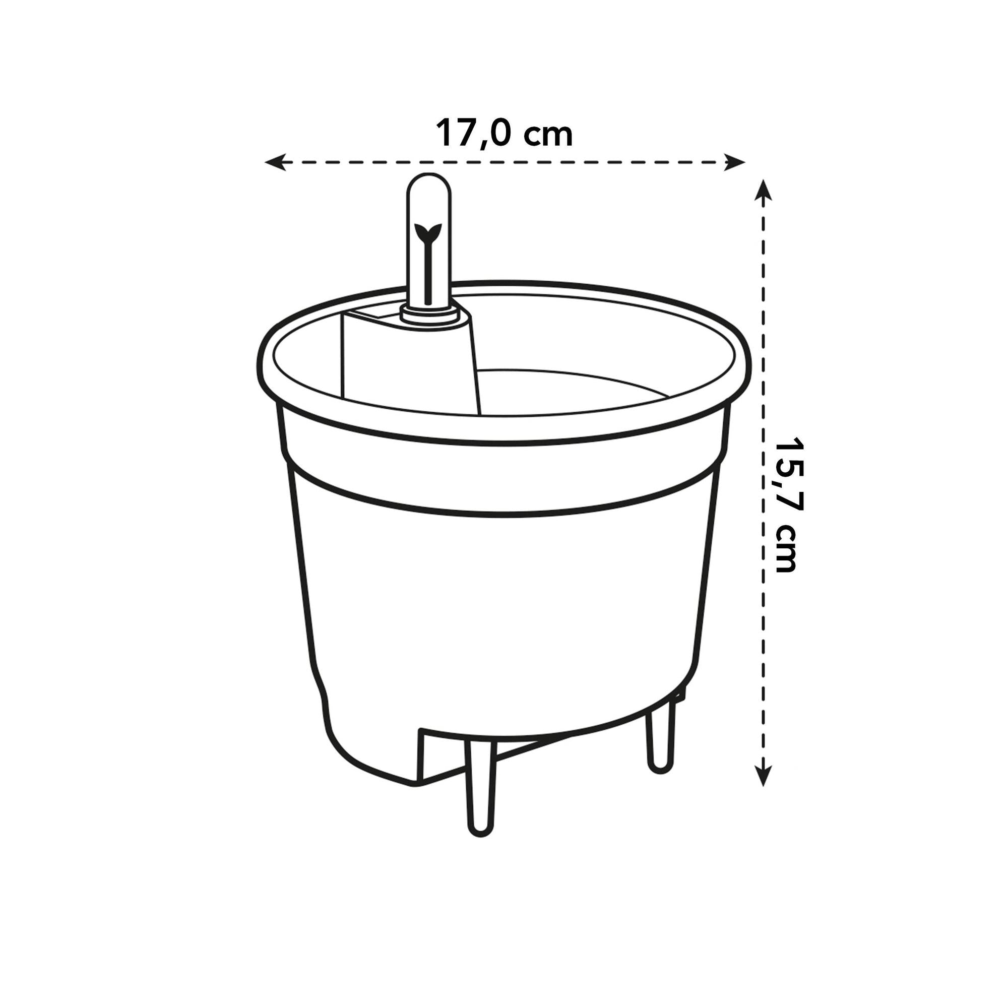 Self Watering Insert Ø 17 H 15,7 cm 2
