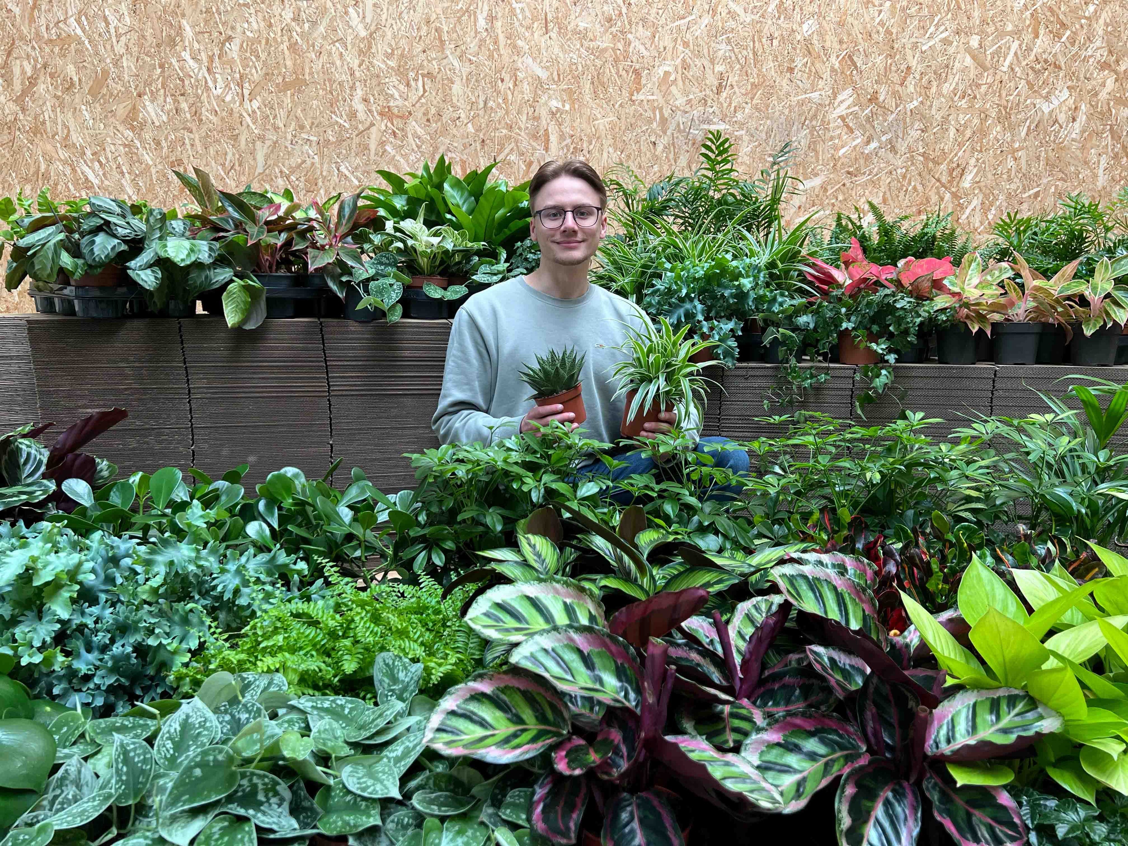 Groene Jungle 4 PlantenShop24 10-2024