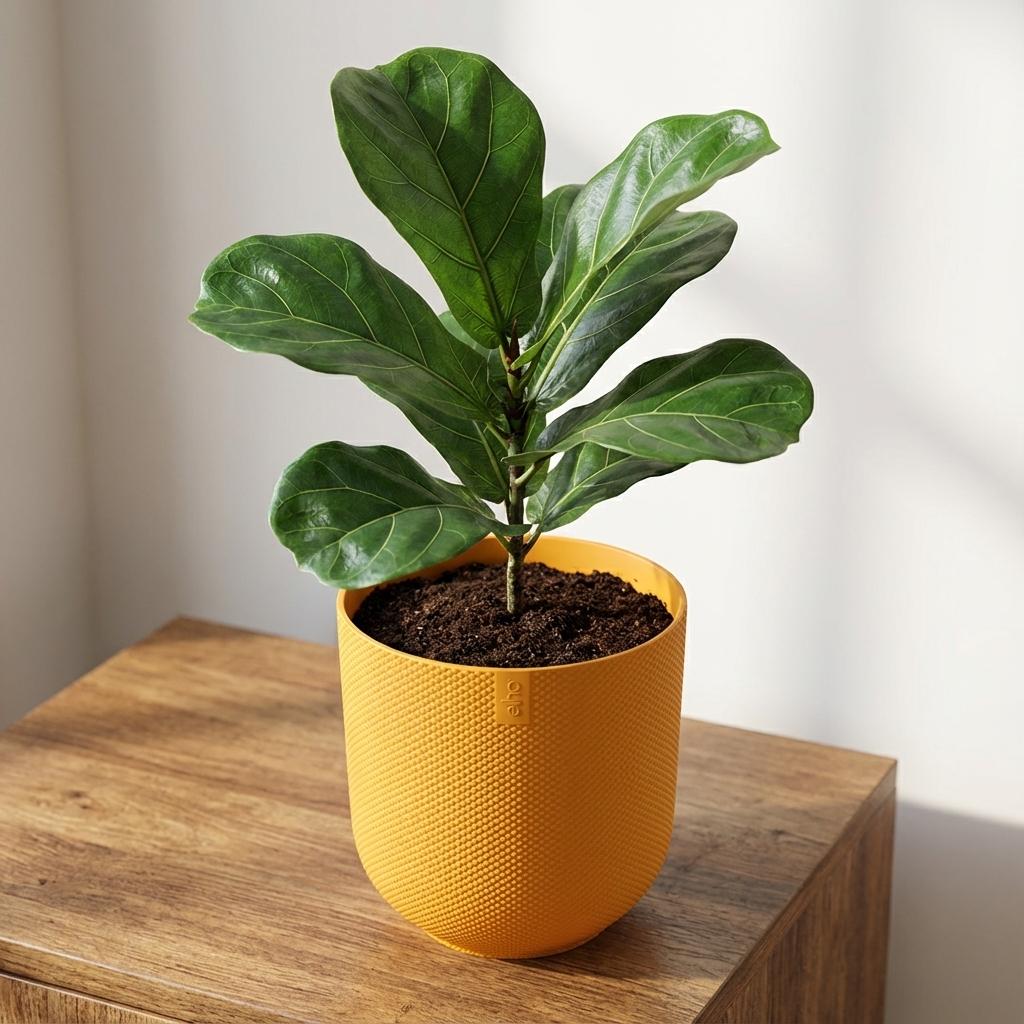 Pot Elho Jazz Round Amber Yellow P 23 cm - 30562 - PlantenShop24