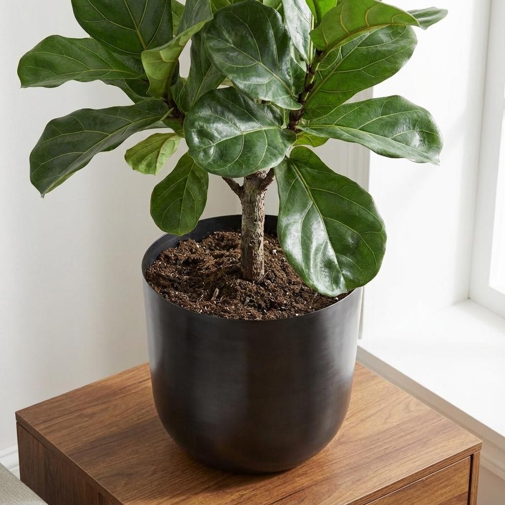 Pot Mayk Lead P 20 cm - 29341 - PlantenShop24