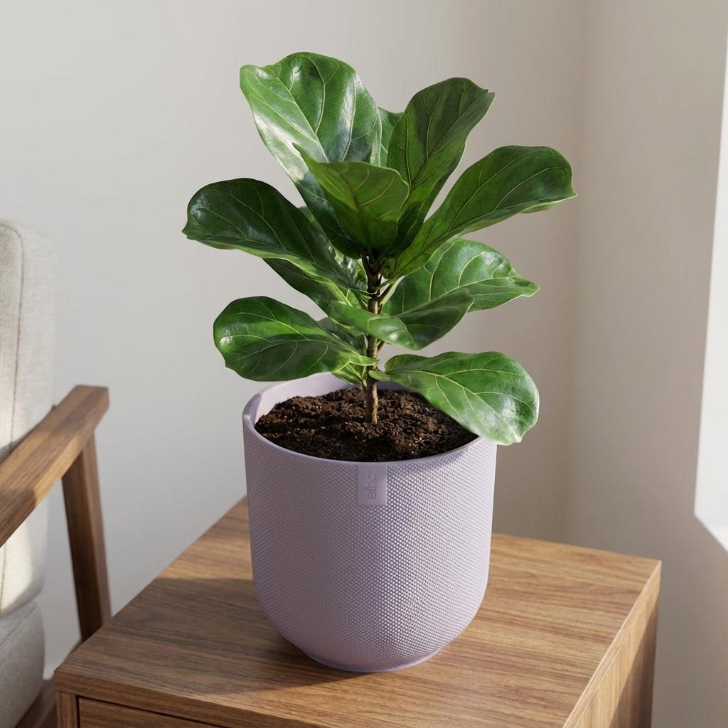 Pot Elho Jazz Round Lavender Lilac - D23