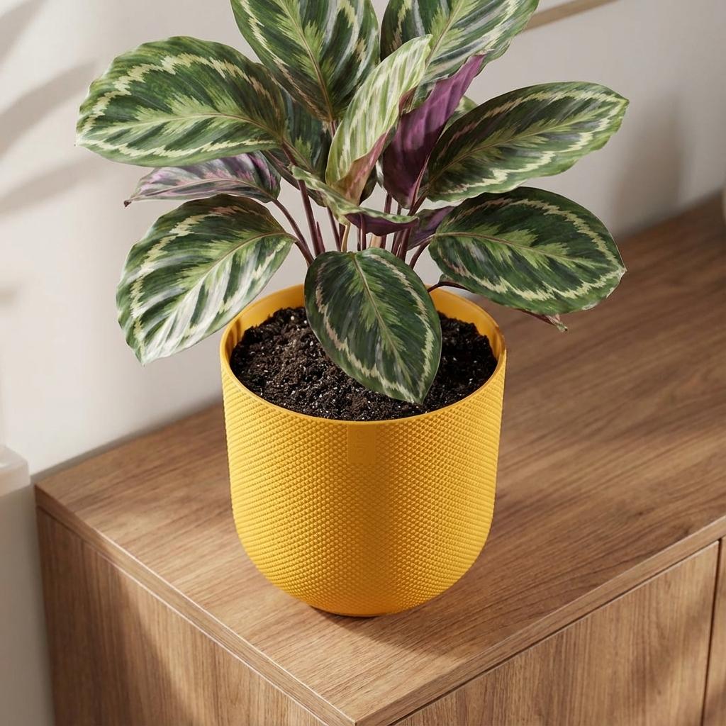 Pot Elho Jazz Round Amber Yellow - D14