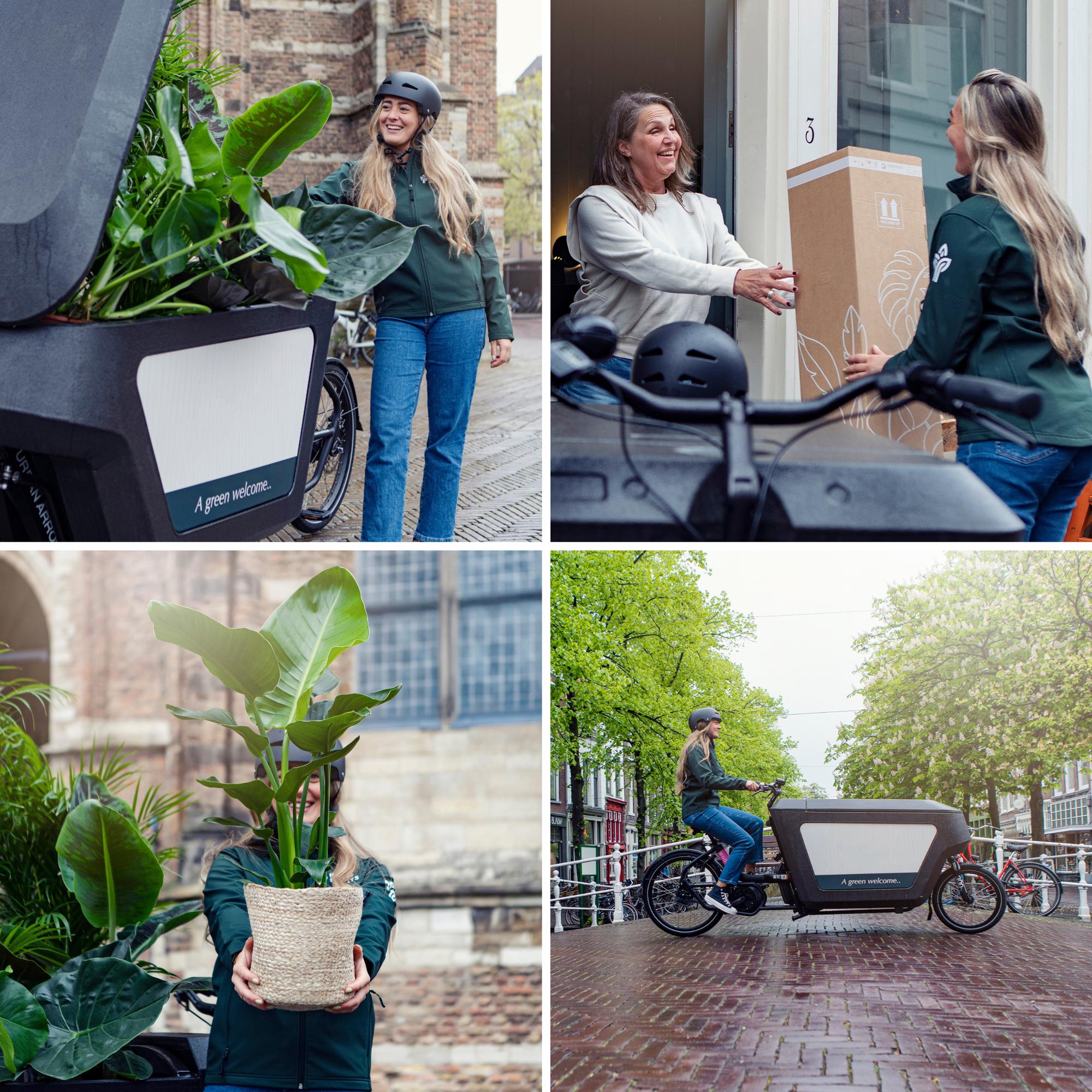 Verrassingsbox - Ø12cm - ↕25cm - x8