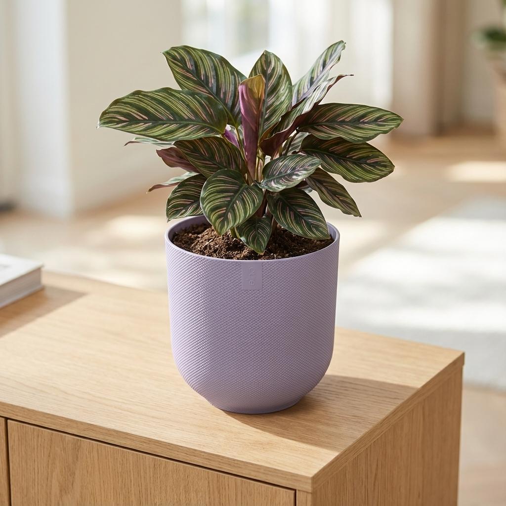 Pot Elho Jazz Round Lavender Lilac - D23