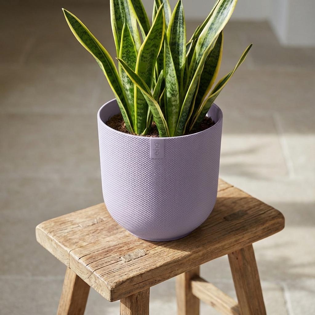 Pot Elho Jazz Round Lavender Lilac - D19