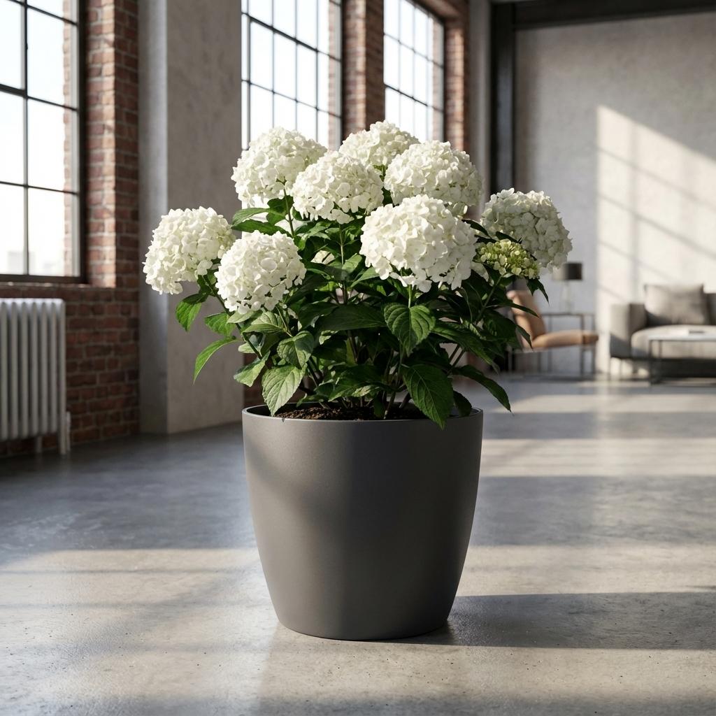 Pot Brussels D07x6cm - Antraciet - D07x6cm