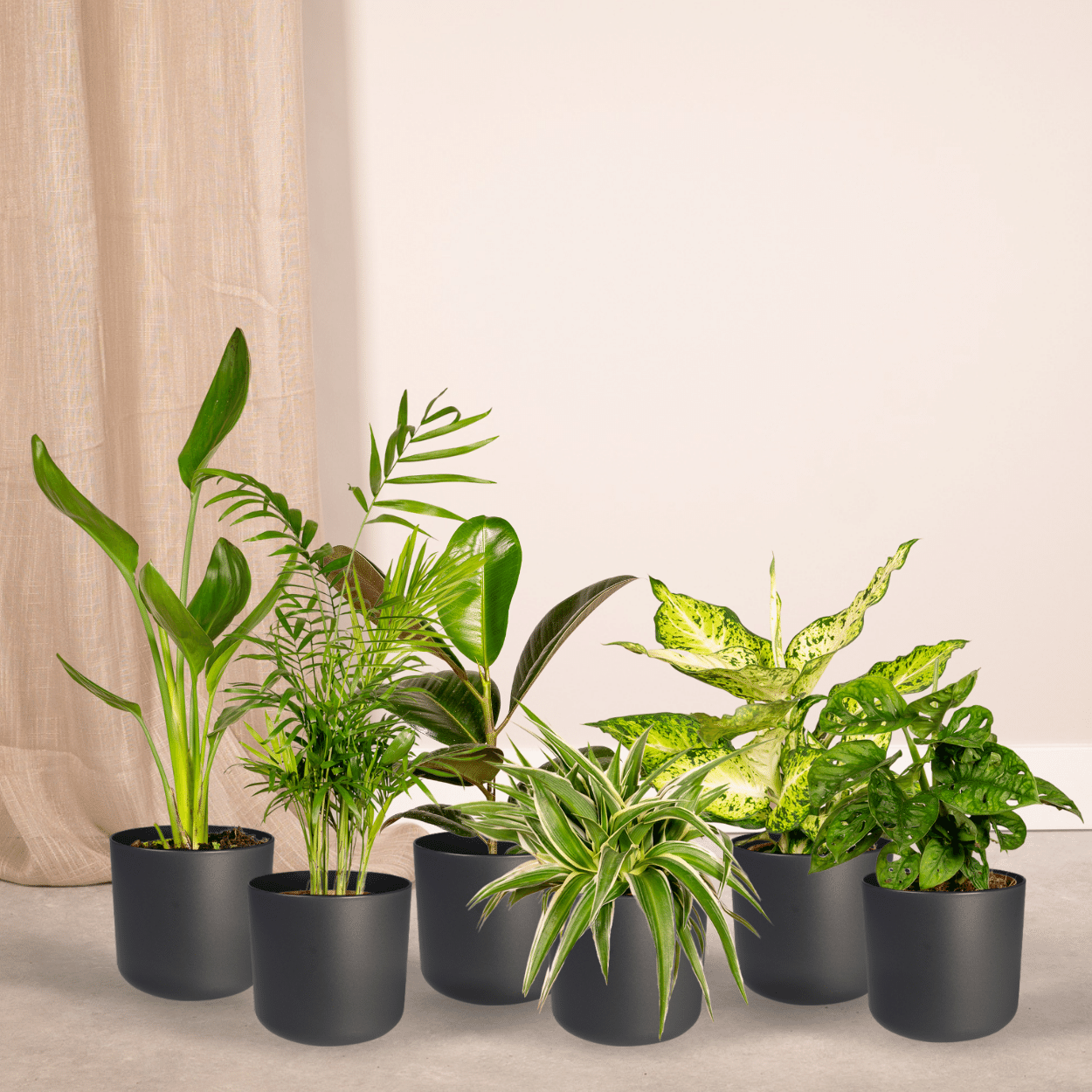 Verrassingsbox potmaat 12 cm hoogte 25 cm