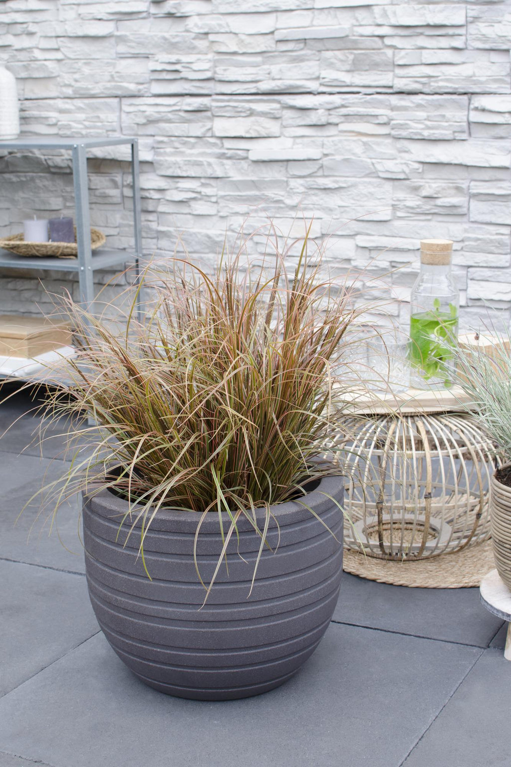 Uncinia rubra Everflame - Ø19cm - ↕40cm - Ø19 - ↨40cm