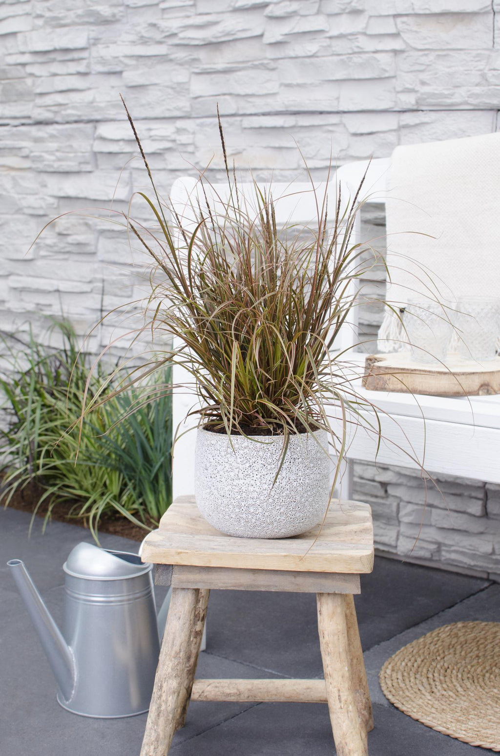 Uncinia rubra Everflame - Ø19cm - ↕40cm - Ø14 - ↨30cm