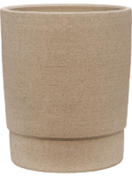 Chao D 32 H 37 cm - PlantenShop24 - 31-01-2025