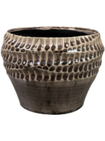 Deb D 20 H 15 cm - PlantenShop24 - 27-11-2024