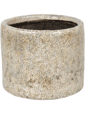 Fracture D 17 H 16 cm - PlantenShop24 - 28-07-2025