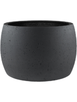 Grigio D 74 H 45 cm - PlantenShop24 - 20-08-2024