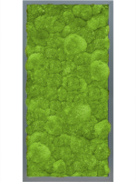 Moss Painting D 40 H 6 cm - PlantenShop24 - 09-08-2024