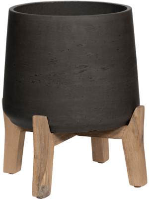 Rough With Feet Low D 34 H 43 cm - PlantenShop24 - 31-01-2025