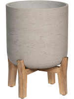 Rough With Feet Low D 18 H 25 cm - PlantenShop24 - 31-01-2025