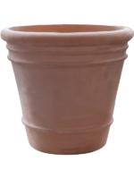 Terra Cotta Doppio D 37 H 34 cm - PlantenShop24 - 06-09-2024
