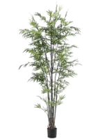 Bamboo D 110 H 210 cm - PlantenShop24 - 31-01-2025