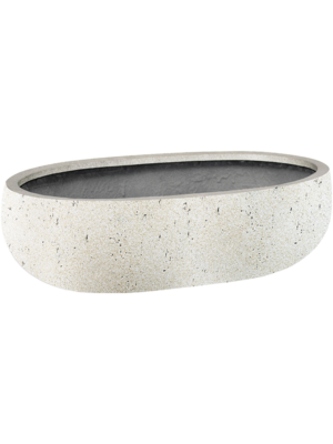 Grigio D 20 H 15 cm - PlantenShop24 - 30-04-2025