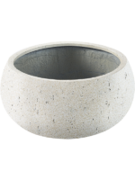 Grigio D 73 H 33 cm - PlantenShop24 - 15-05-2025