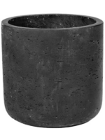 Rough D 8 H 7 cm - PlantenShop24 - 31-01-2025