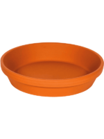 Terra Cotta D 21.7 H 4.5 cm - PlantenShop24 - 22-06-2024