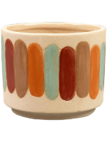 Anna D 11 H 9 cm - PlantenShop24 - 23-04-2025