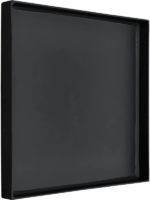 Argento D 80 H 5 cm - PlantenShop24 - 15-08-2024