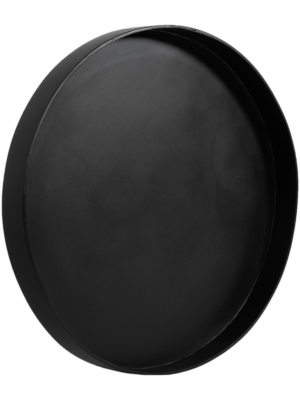 Argento D 90 H 5 cm - PlantenShop24 - 15-08-2024