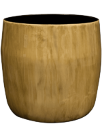 Babet D 14 H 12 cm - PlantenShop24 - 23-04-2025