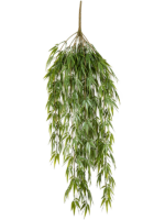 Bamboo H 85 cm - PlantenShop24 - 14-08-2025