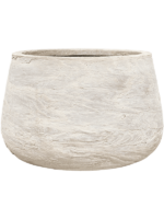Baq Algar D 51 H 34 cm - PlantenShop24 - 10-10-2024