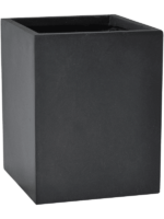 Baq Basic D 15 H 20 cm - PlantenShop24 - 10-03-2025