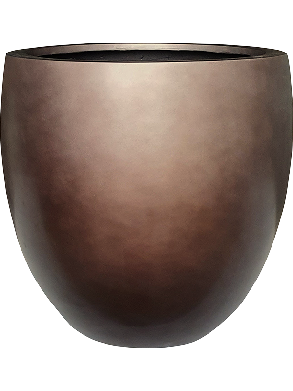 Baq Gradient D 54 H 51 cm - PlantenShop24 - 31-01-2025