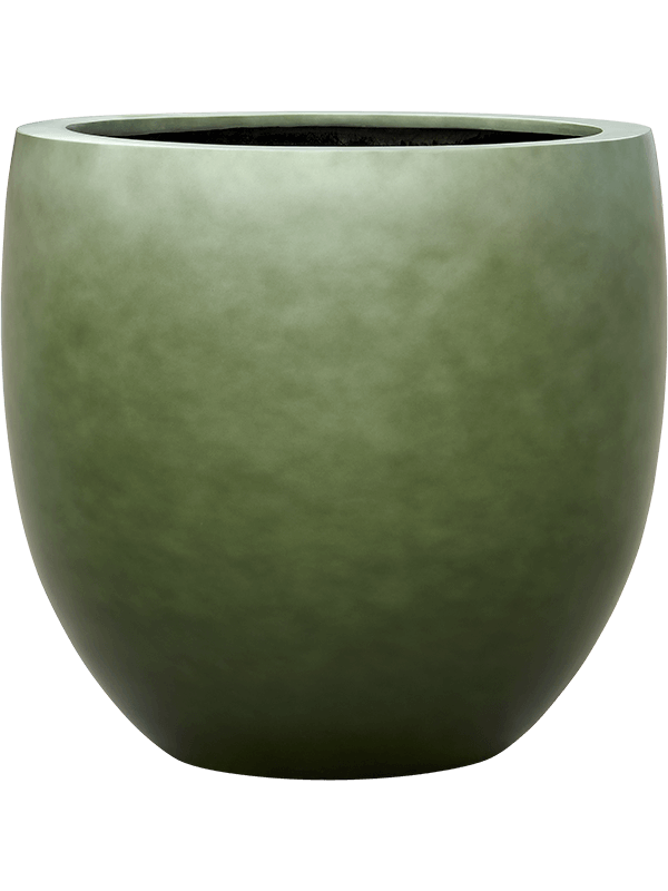 Baq Gradient D 70 H 68 cm - PlantenShop24 - 31-01-2025