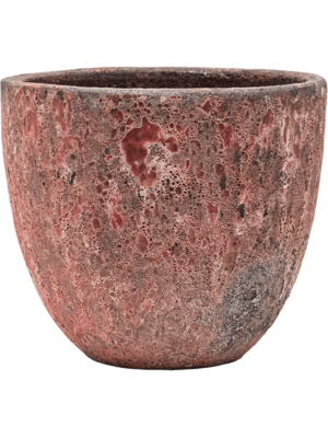 Baq Lava D 45 H 42 cm - PlantenShop24 - 20-06-2025