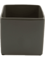 Basic D 11 H 11 cm - PlantenShop24 - 11-12-2024