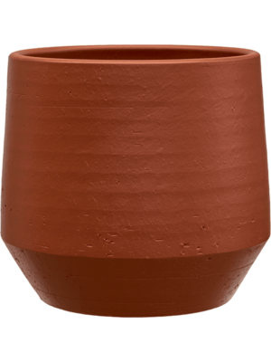 Chakka D 42 H 36 cm - PlantenShop24 - 05-05-2025