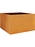 Cortensteel D 100 H 60 cm - PlantenShop24 - 17-04-2025