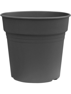 Cultuurpot D 15 H 14 cm - PlantenShop24 - 14-08-2025