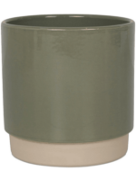 Eno Duo D 16 H 16 cm - PlantenShop24 - 24-06-2024