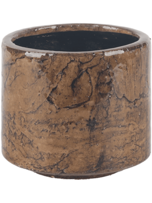 Fracture D 11 H 10 cm - PlantenShop24 - 29-10-2024