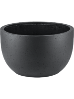 Grigio D 110 H 65 cm - PlantenShop24 - 20-08-2024