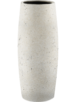 Grigio D 30 H 70 cm - PlantenShop24 - 19-08-2024
